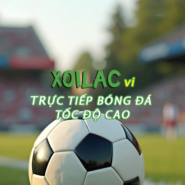 Hình đại diện của thành viên